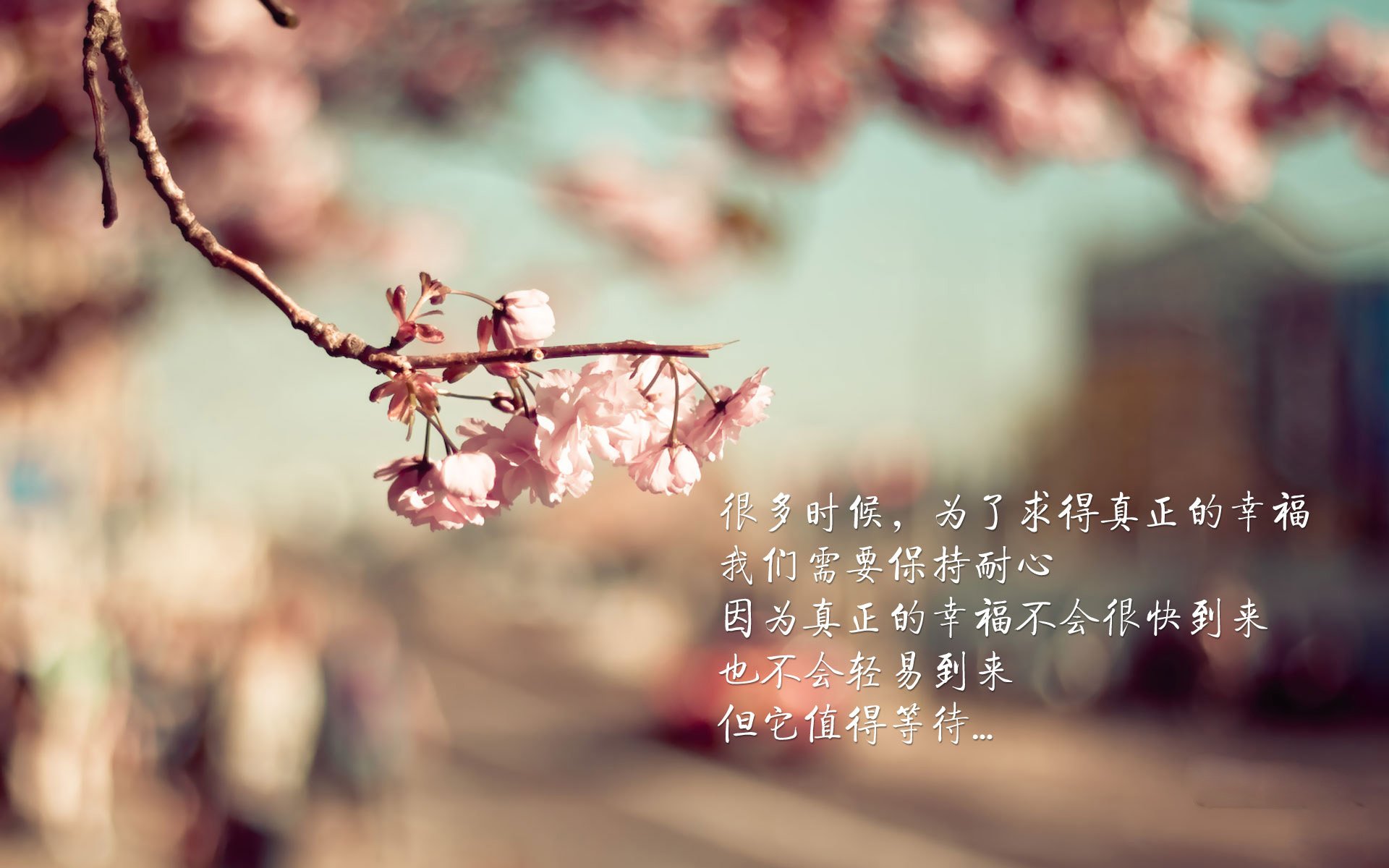 唯一的欧文，冰冷杀手在热火与猛龙之战中定义比赛