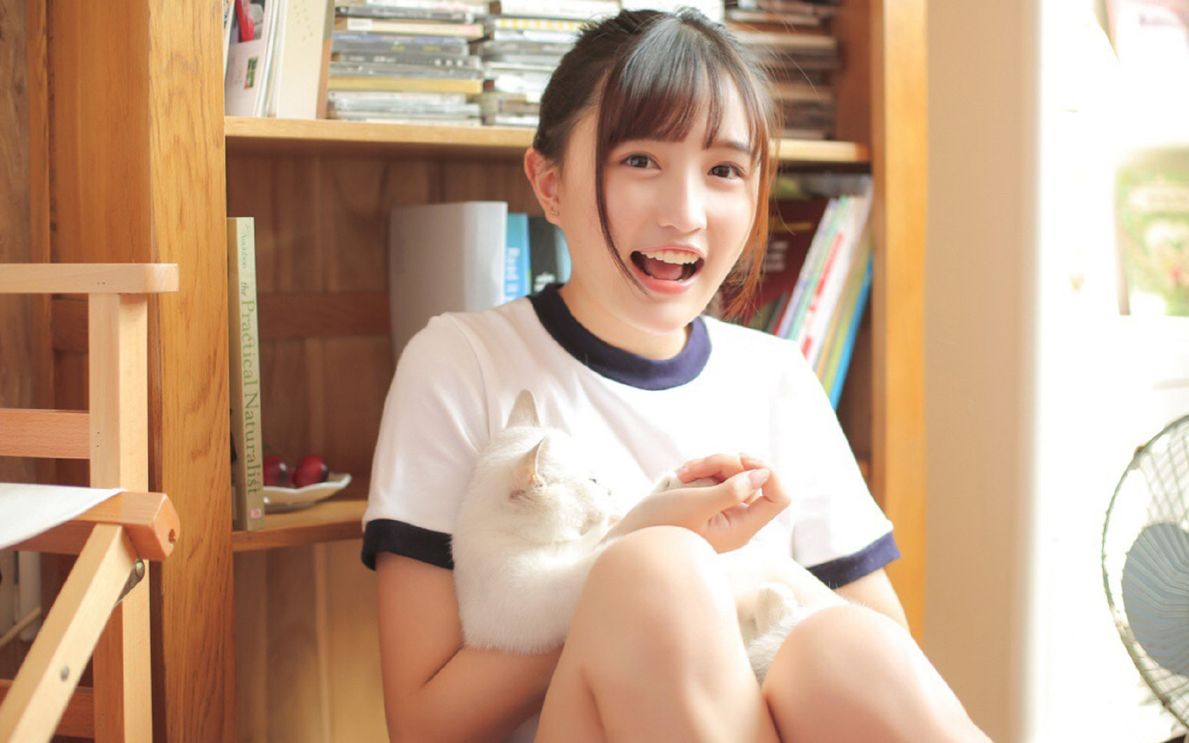 赛道即战场,当F1的轮胎硝烟弥漫伊拉克踏平奥地利的隐喻