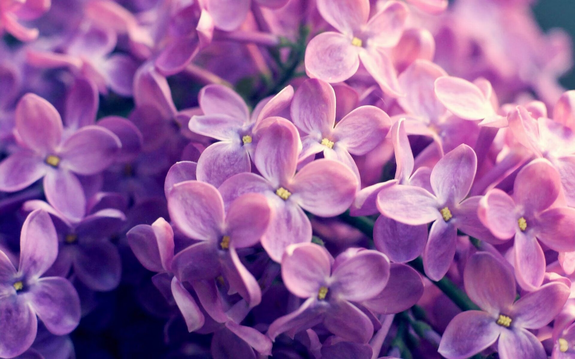 真正的大心脏，京多安的欧冠之夜与贝蒂斯93分钟的启示—冠军的韧性，无关运气