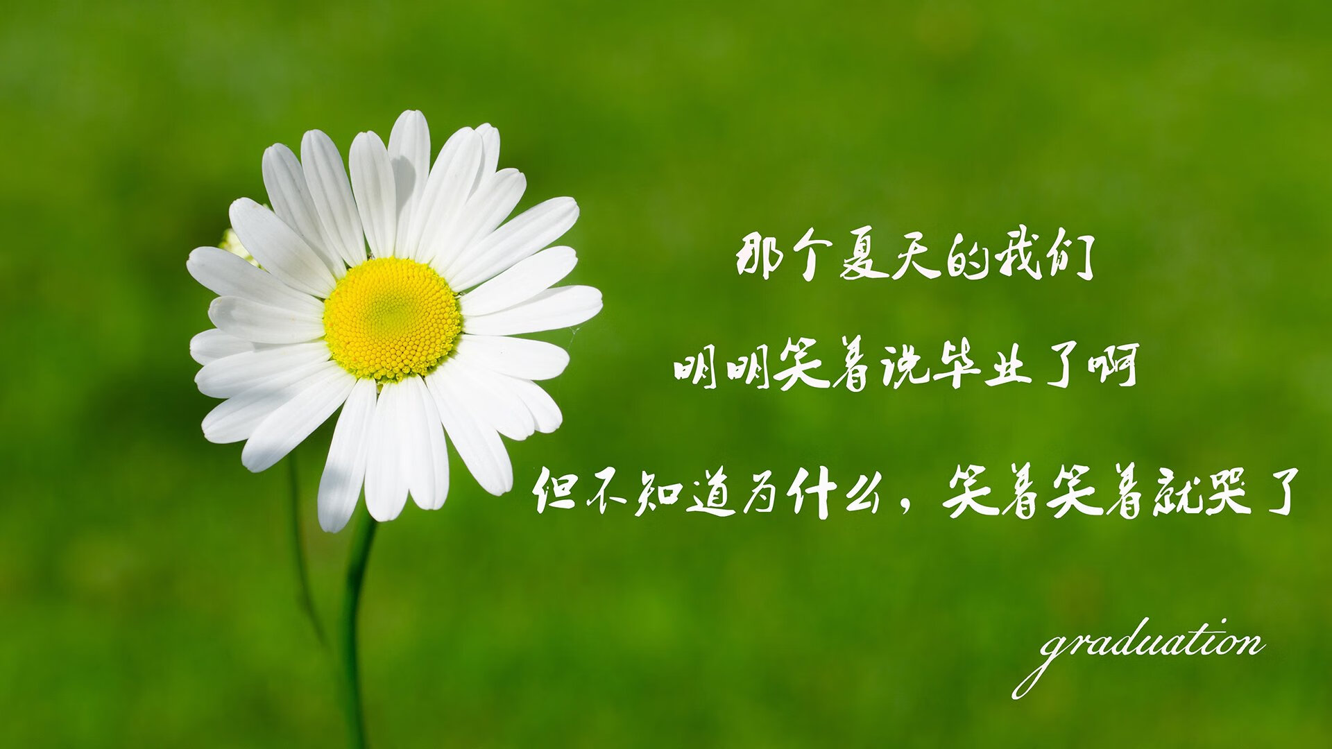 [新王的加冕与旧梦的终结]2026世界杯决赛，德容的魔术，将郁金香永远刻在了圣杯之上